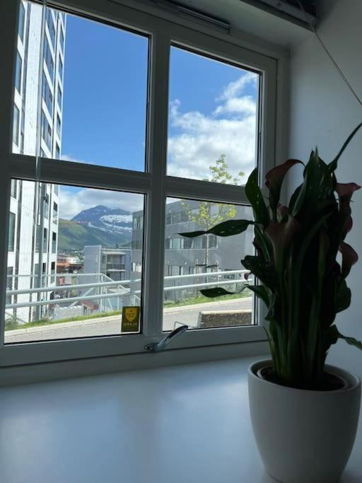 Cozy Ground Floor Apartment Tromso Exterior photo